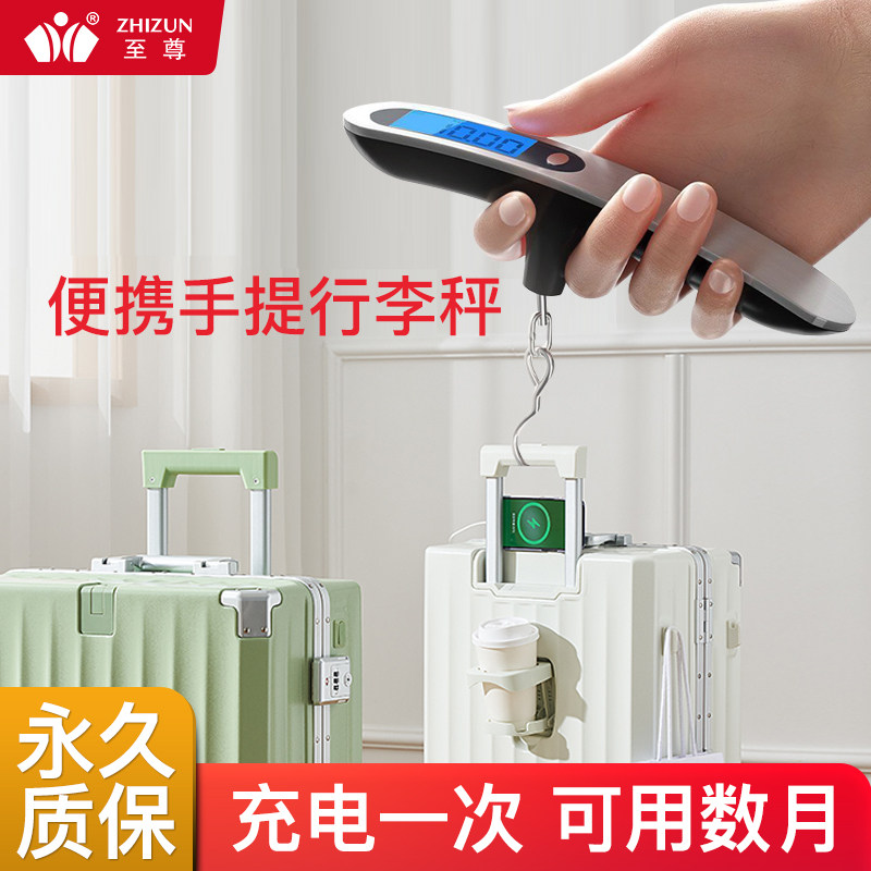 高精度手提电子秤家用可携式迷你精准称重行李快递秤称鱼随身秤