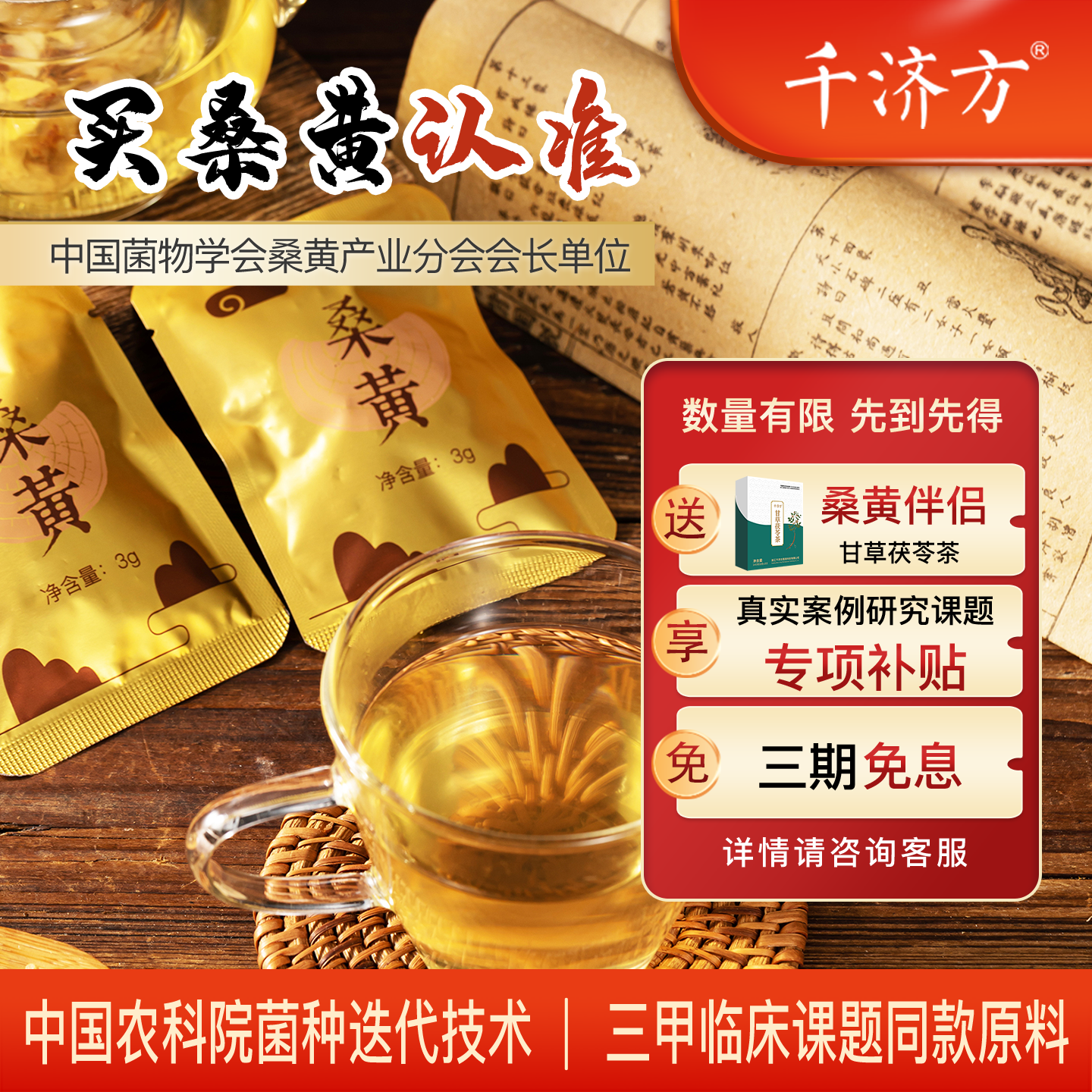 官方正品千济方长白山金边珍品桑黄颗粒农科院仿野生临床验证伴侣
