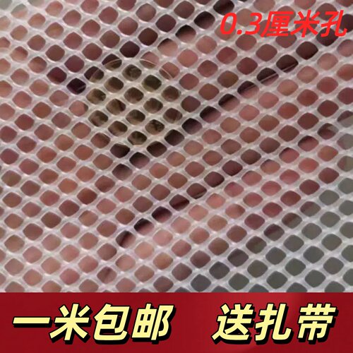 鸡鸭育雏漏粪网塑料养殖网防猫网