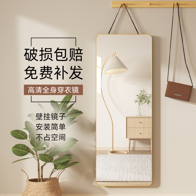 壁挂式客厅装饰穿衣镜家用玄关门后试衣镜挂衣架全身镜玻璃镜子