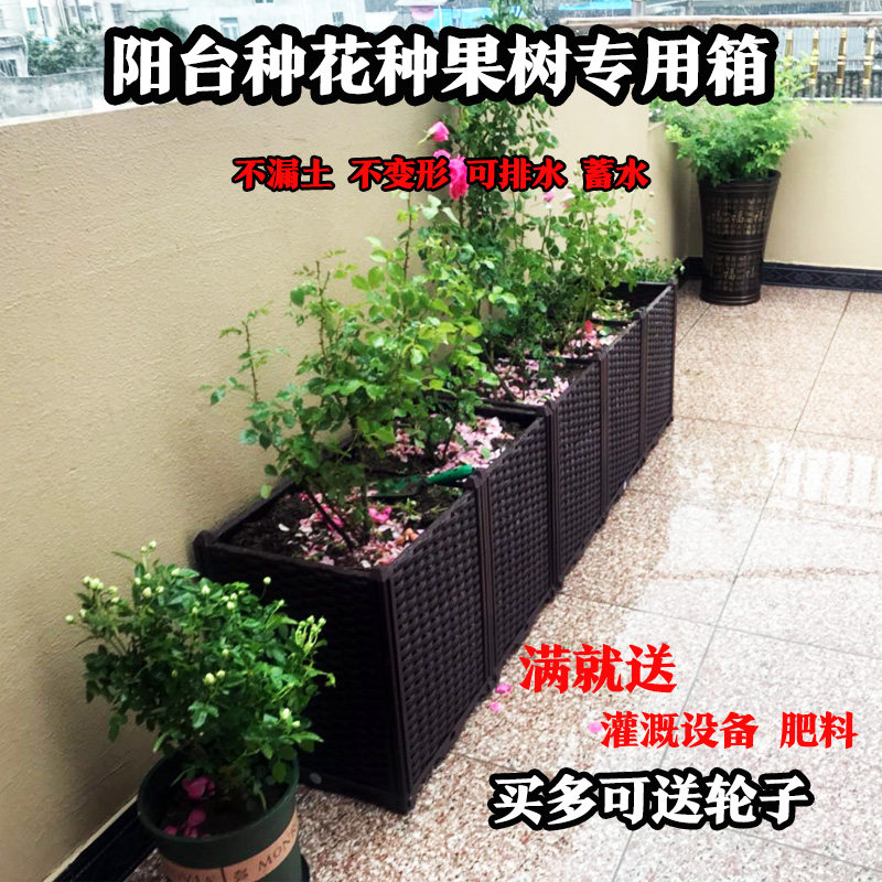阳台种菜盆家庭特长条花盆蔬菜种植箱长方形种植槽果树葡萄