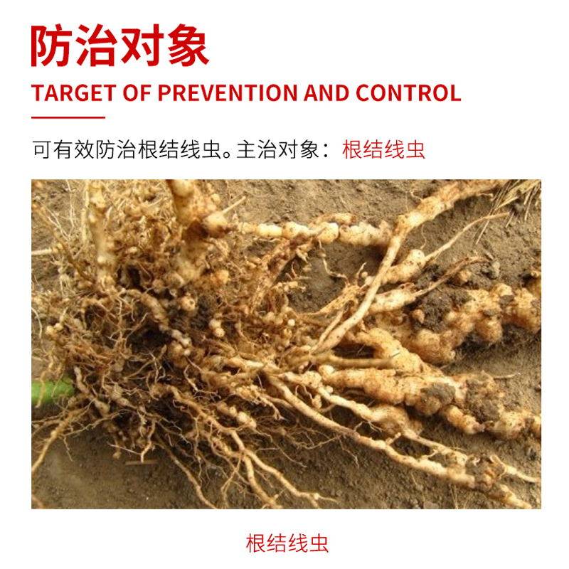 植物通用生根剂快速生根粉扦插用树木速效强力生根壮苗剂发根剂液