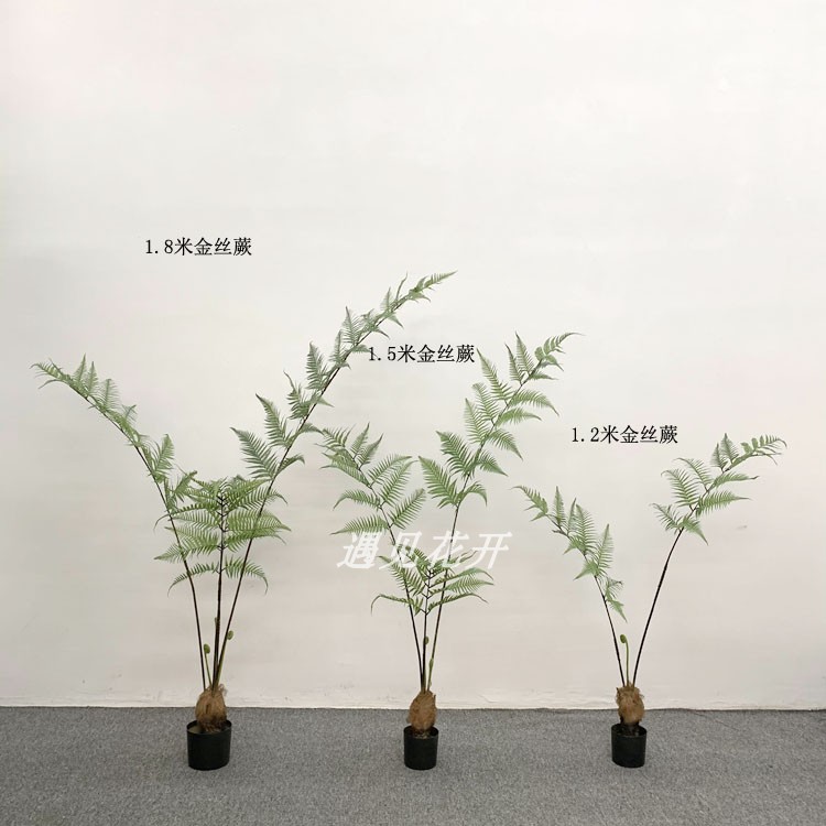 仿真金丝蕨猴头蕨仿真蕨植物室内家居盆栽软装造景绿植