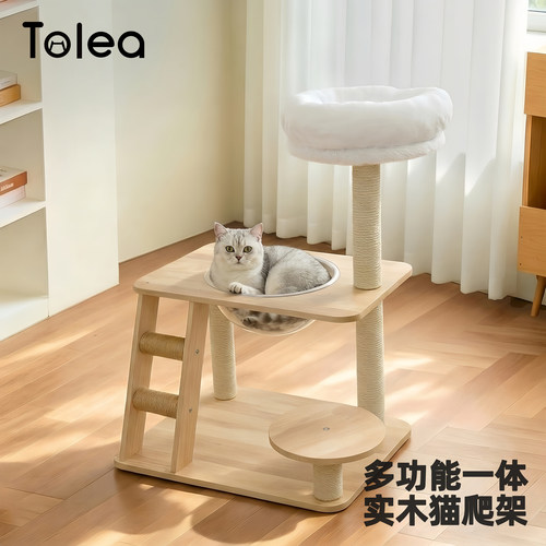 实木猫爬架猫窝一体稳固不晃家用
