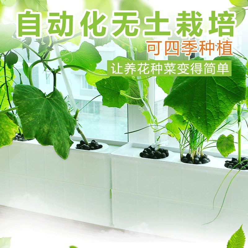 阳台蔬菜水培机无土栽培设备x番茄黄瓜种植水耕蔬菜家庭水培种菜