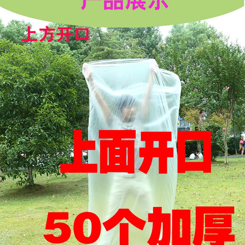 沙棘能量油一次性袋子全排全身袋汗蒸排寒排酸上开口排湿袋沙棘袋