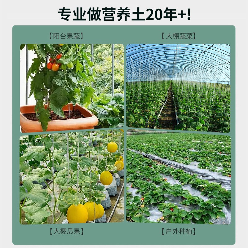 阳台种菜专用土多肉种植土腐殖土杜鹃花泥炭土壤蔬菜土有机营养土