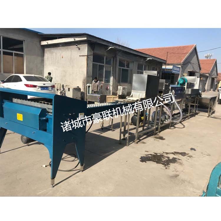 全自动洗蛋机 清洗风干光检喷码喷油分选成套设备 支持试机考察,清洗/食品/商业设备,打蛋机/洗蛋机/磕蛋机,淘宝优惠券,粉丝福利购,淘宝优惠卷