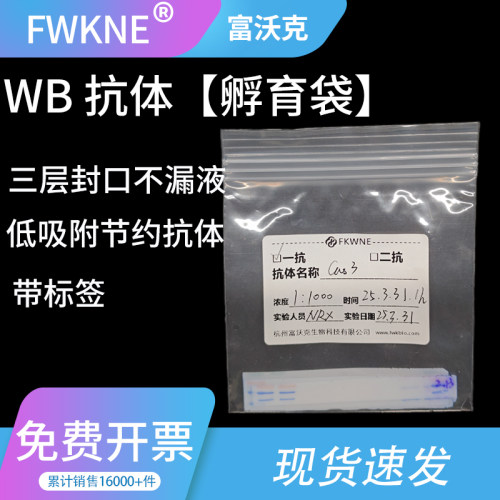 富沃克杂交袋抗体WB抗体孵育袋