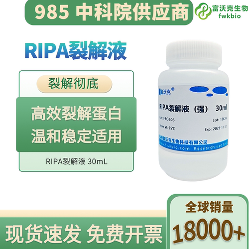 强弱细胞组织快速裂解RIPA裂解液