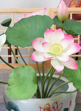 落地鱼缸带盆仿真荷花荷叶套装中式客厅餐厅家居装饰塑料假花