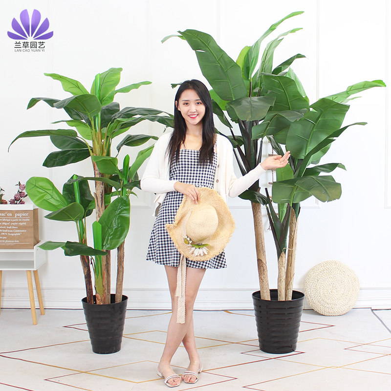 仿真芭蕉树盆栽植物庭院叶假香蕉树树绿植假树落地