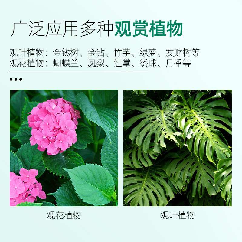 靓鼠牌多功能清洁剂植物叶面光亮剂增亮除尘营养液增绿花卉清洗剂