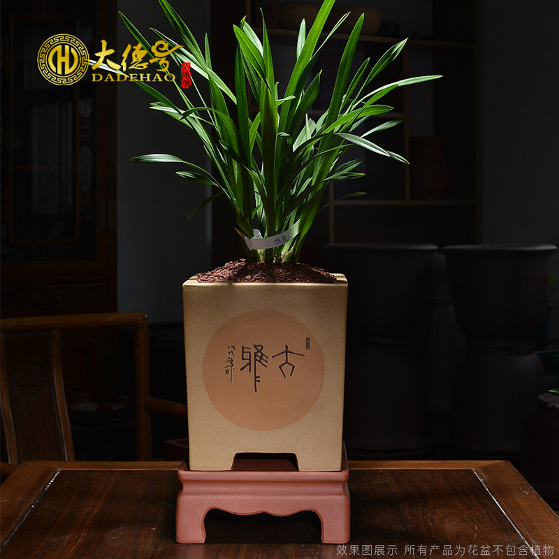 德号四方紫砂花盆盆景盆建兰兰花君兰花盆泥绘