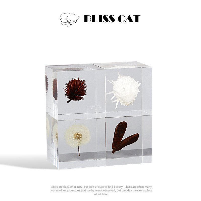 现代压克力蝴蝶样板间植物标本蒲公英树脂品