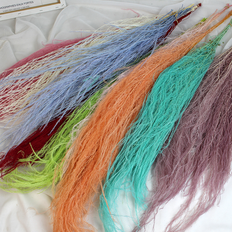 永生花 龙须草软装干花婚庆布景墙面倒挂花束天然真花家居装饰