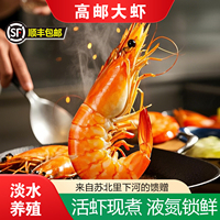 湖恩高郵淡水河蝦1斤裝順豐包郵