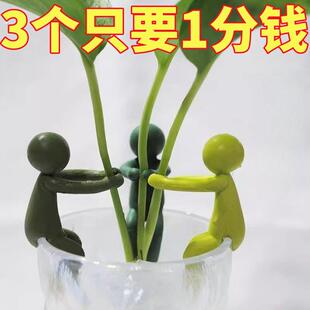 新款水培植物生长伴侣水培器皿扶正扶枝桌面装饰固定造型防倒伏叶