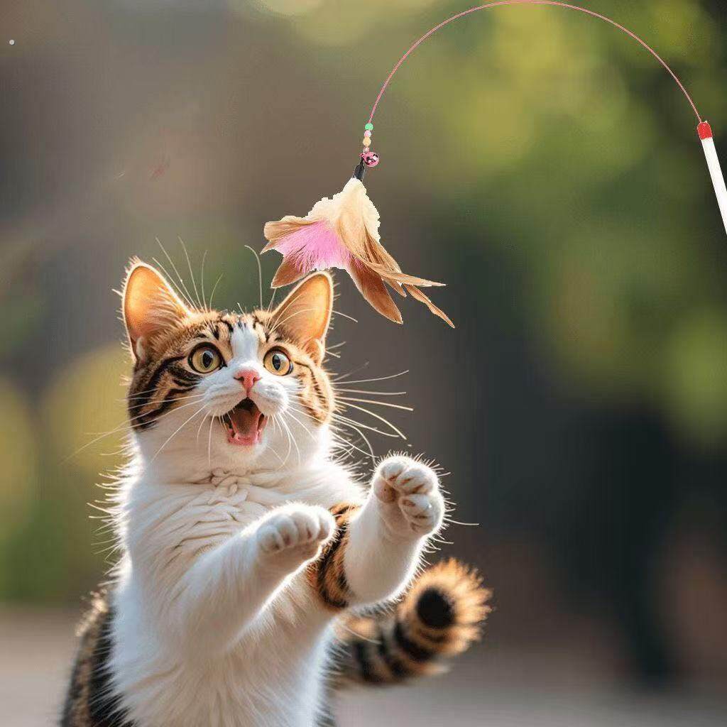 逗猫铃铛羽毛宠物猫解闷猫咪玩具钢丝超长长杆新款用品成幼神器,宠物/宠物食品及用品,逗猫棒,淘宝优惠券,粉丝福利购,淘宝优惠卷
