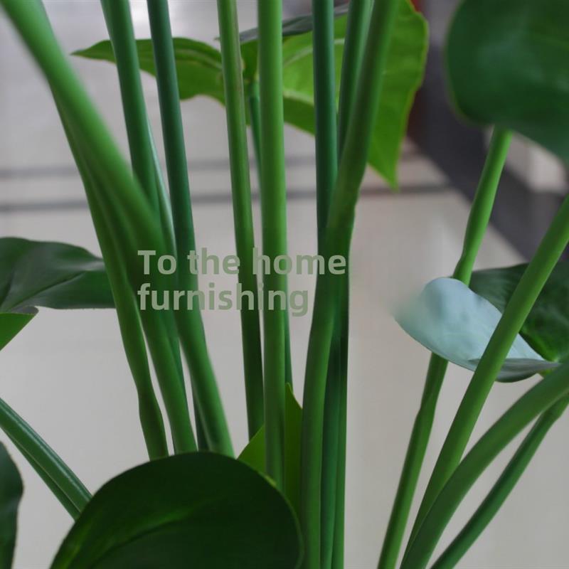 模拟植物,绿色植物,滴水观音,红掌,假树,花,绿色,环保/大客厅,办