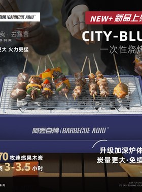 阿丢自烤户外烧烤炉一次性烧烤炉户外烧烤架便携露营碳烤炉