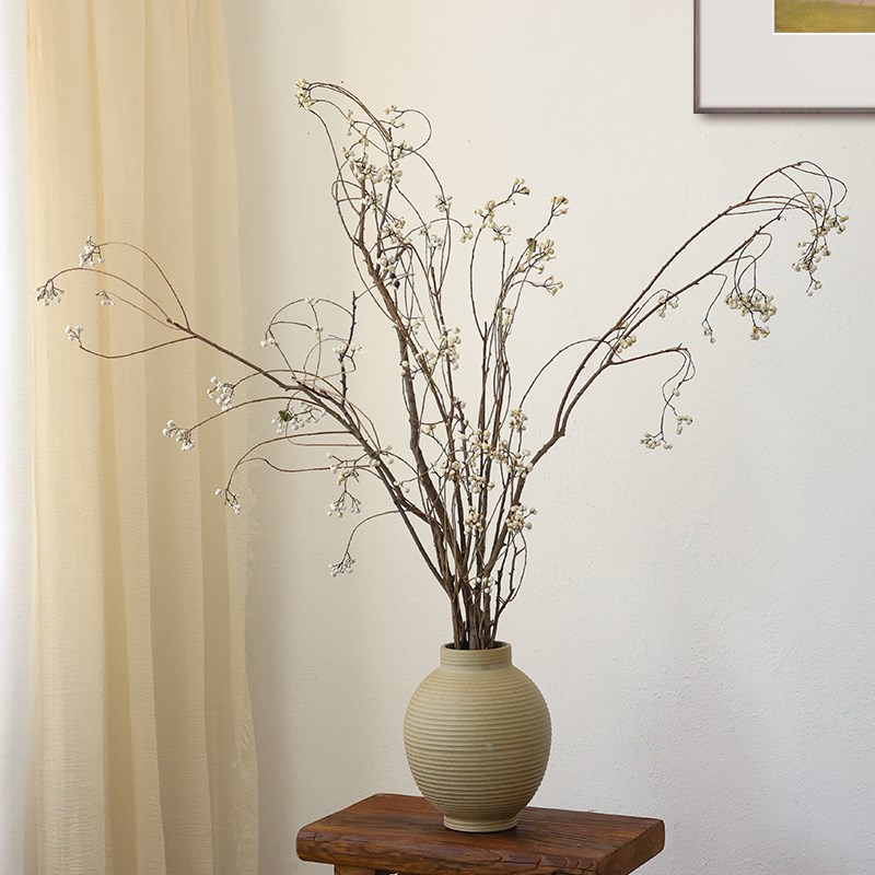 乌桕果小白果干花花束树枝v树干民宿干枝干果装饰插花侘寂风干真