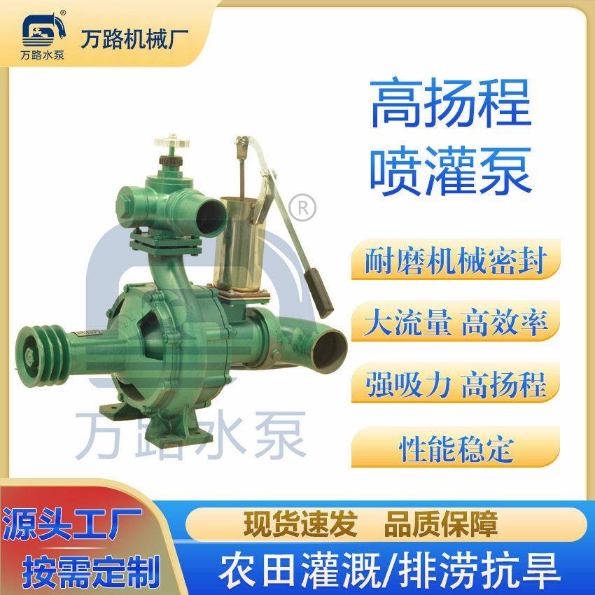 4进3出压喷灌泵扬程水泵农业灌溉双叶轮离心泵农用灌溉抽水泵