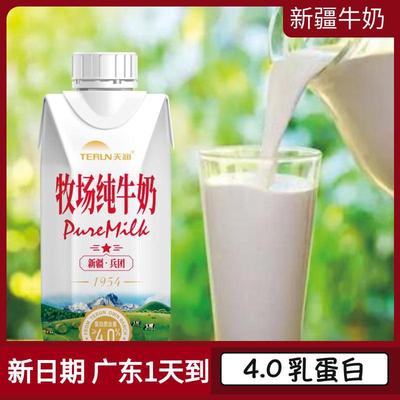 天润新疆牧场牛奶4.0蛋白营养原生高钙易吸收250ml*10瓶/整箱广东