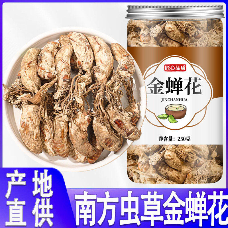 金蝉花中药材正品官方旗舰店野生500g知了花蝉花虫草的功效与作用