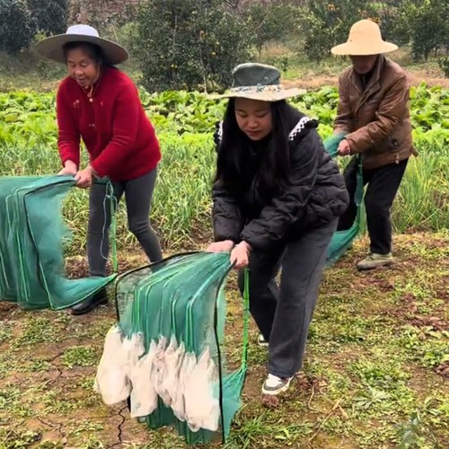 方扇形加强鱼虾网笼捕鱼捕虾