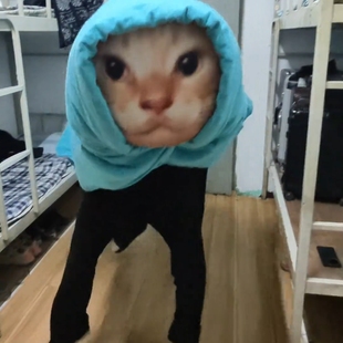 耄耋W嘴抱枕搞怪解压王牌飞行员耄耋送朋友闺蜜柔软家居创意玩偶