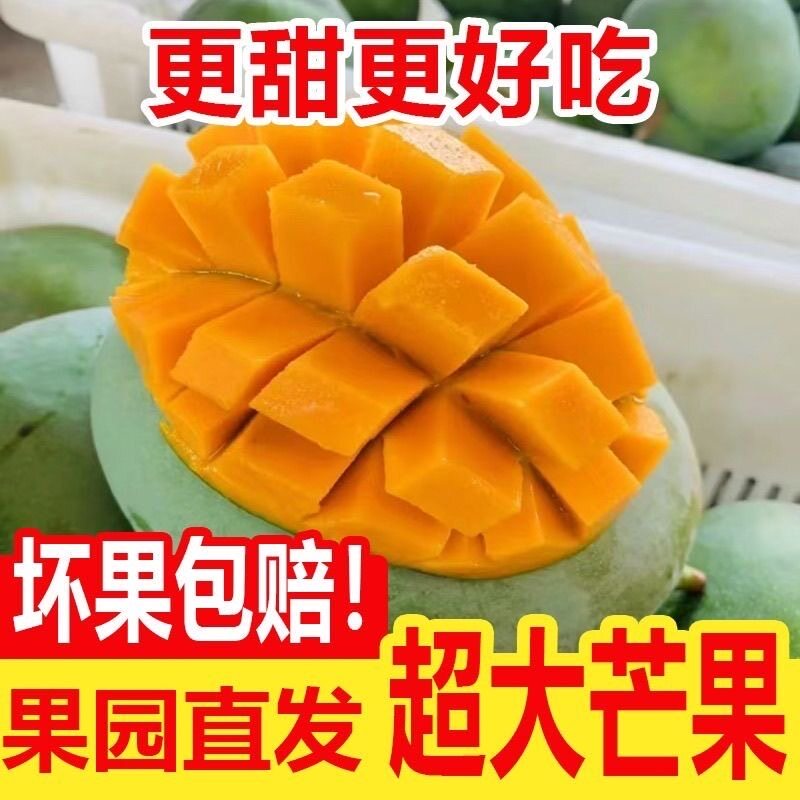 万单爆款越南大青芒热带时令新鲜芒果