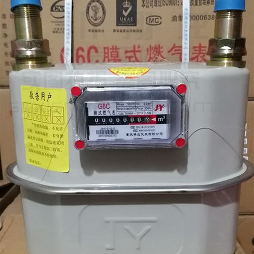 瑞力比G6膜式燃气表 左进气燃气表 计量燃气表 工业燃气流量计 J6