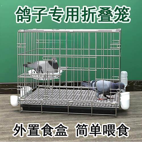鸽子笼养鸽子专用笼养殖笼家用繁殖笼配对笼大号新型鸽舍鸽子笼子