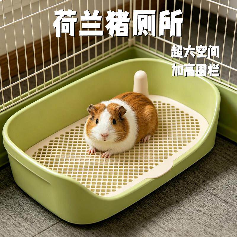 荷兰猪厕所专用超大清理豚鼠便盆定点尿盆粪便宠物分离宠物用品