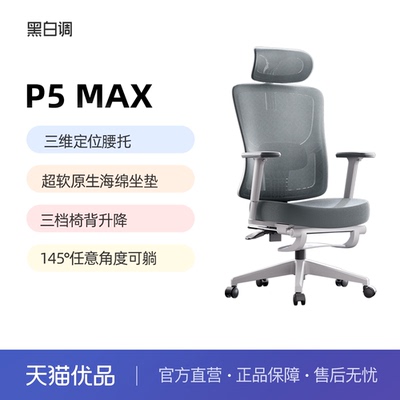 黑白调P5人体工学椅电脑椅办公椅