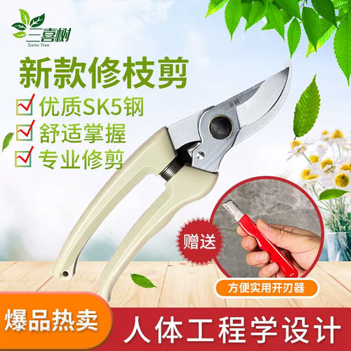 三喜树130修花枝剪园艺园林剪刀