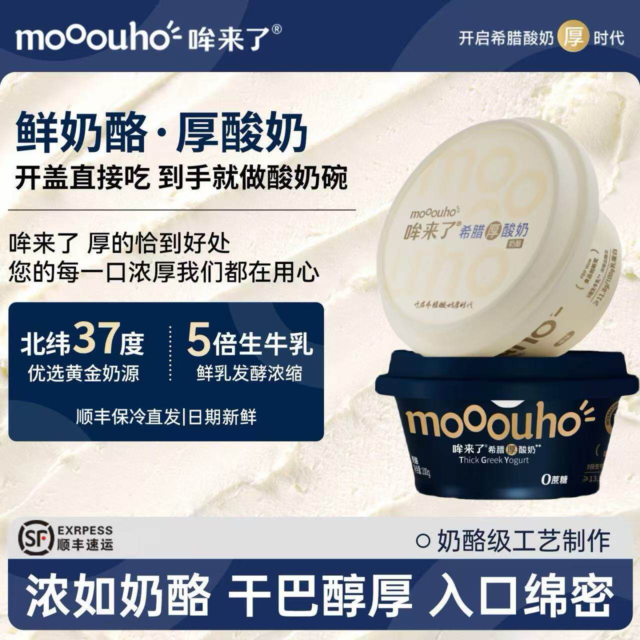 哞来了组合装希腊厚酸奶100g*6盒干酪酸奶5倍浓缩低温干噎酸奶