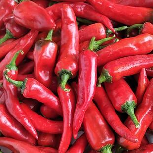 新鲜乌红辣椒全州红辣椒老坛泡椒腌制红酸辣椒海椒剁椒酱中辣广西