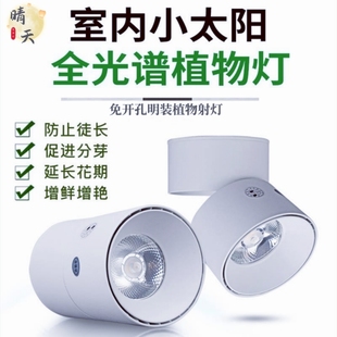 植物补光灯 家用全光谱LED仿太阳光照花卉室内光合作用生长射灯