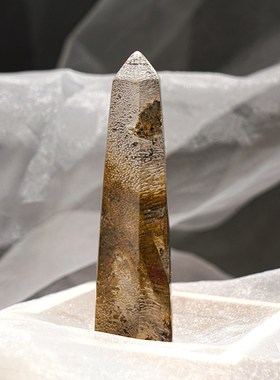 亿年木化石手把件六棱柱办公家居矿石摆件创意装饰送礼摆设印章石