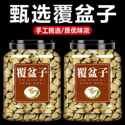 高山采摘的覆盆子中药材正