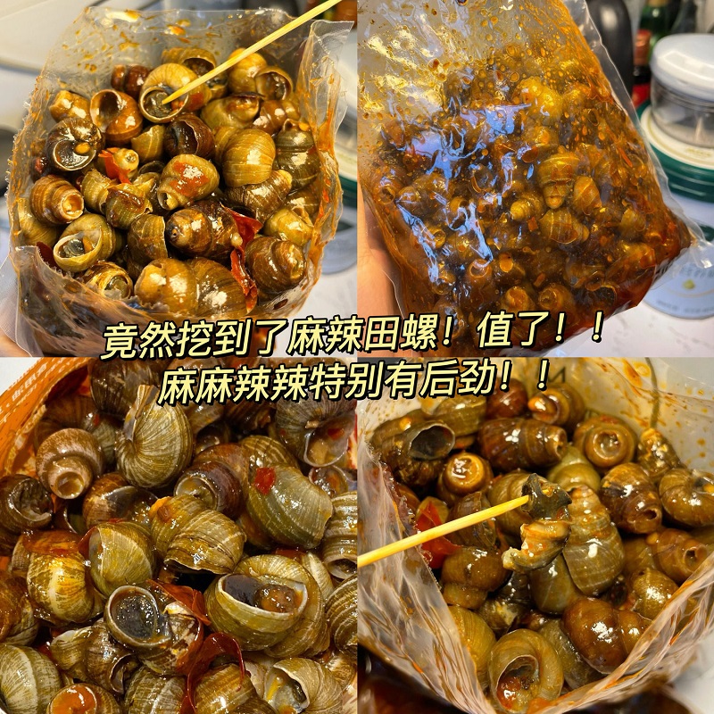 嗦螺田螺开袋即食干净无沙麻辣味爆炒爆香大袋装童年小零食螺蛳肉