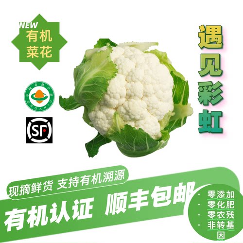 【新鲜有机】有机菜花顺丰包邮3斤/6斤泡沫箱花椰菜有机认证