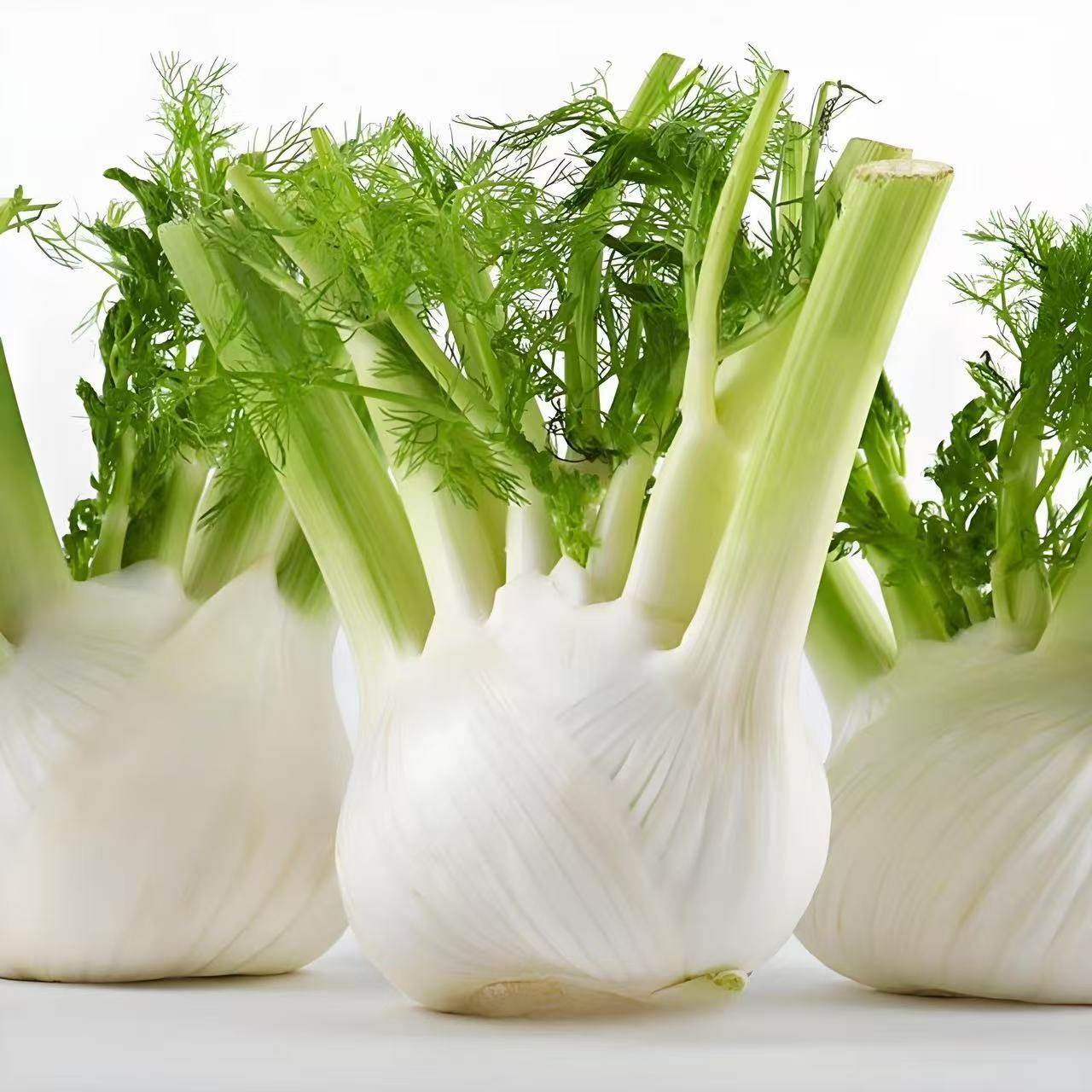 【新品特菜】球茎茴香 新鲜健康美味,水产肉类/新鲜蔬果/熟食,其它,淘宝优惠券,粉丝福利购,淘宝优惠卷