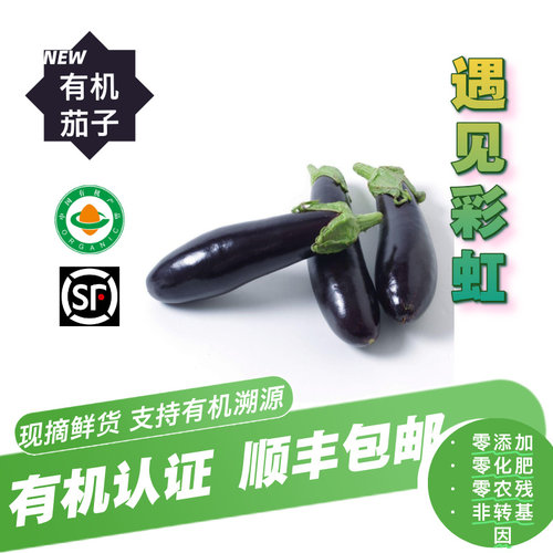 【新鲜有机】有机茄子顺丰包邮2斤4斤泡沫箱发包邮到家无农残