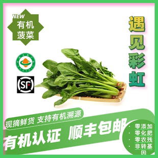 有机菠菜 有机认证无农残新鲜蔬菜