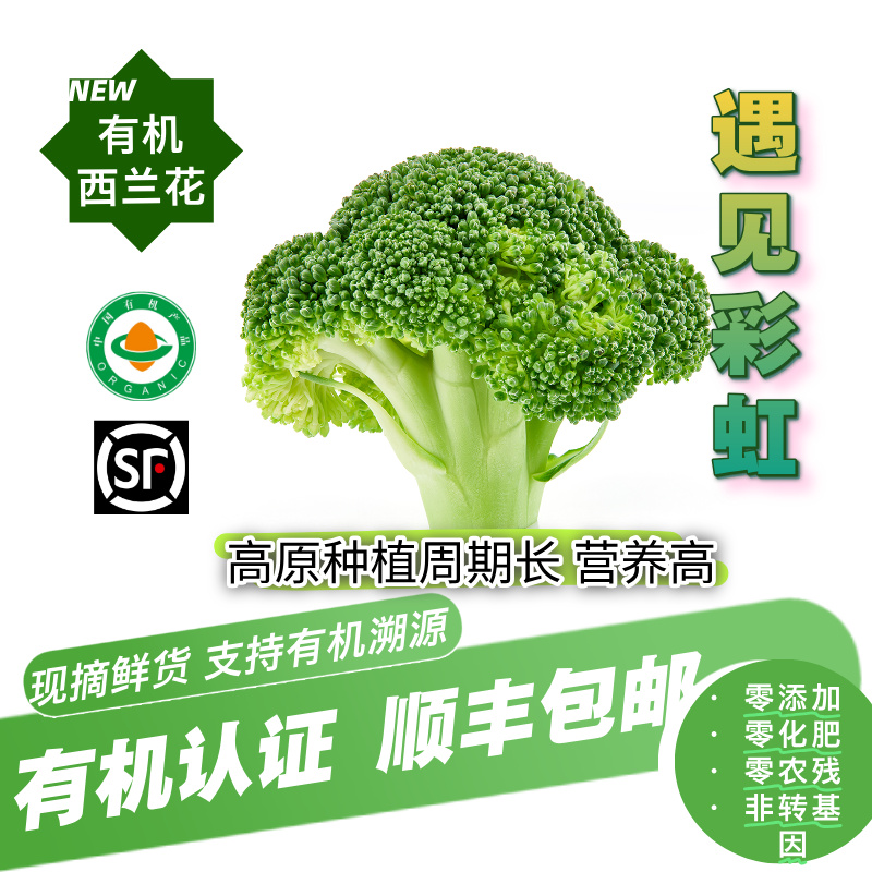 有机西兰花 有机认证无农残新鲜采摘有机菜 轻食沙拉减脂蔬菜