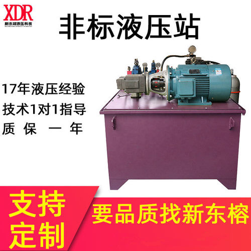 非标定制伺服液压站工程液压阀组控制系统小型动力单元液压泵电动
