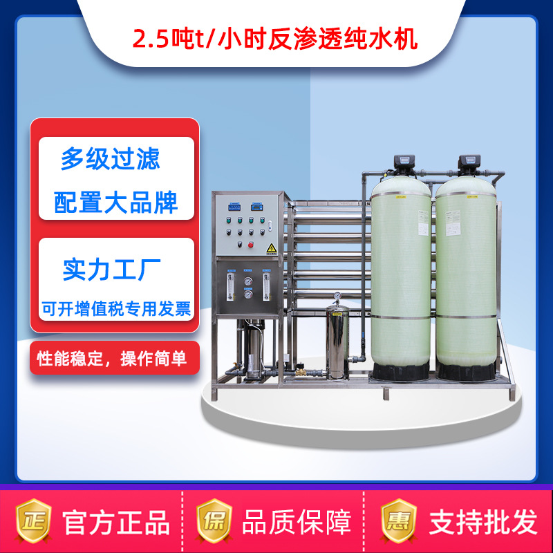 芯片陶瓷碳化硅清洗edi超纯水设备 2吨/时双级ro反渗透水处理定制